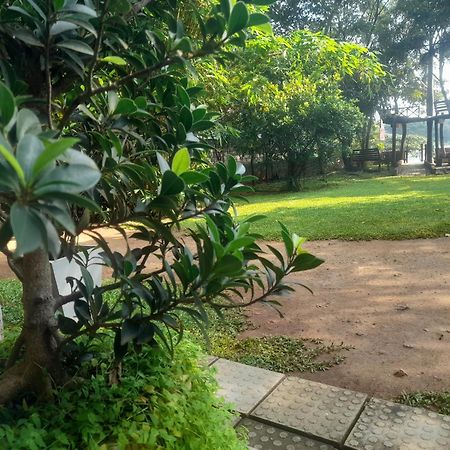 Shashin Lake Resort Dambulla Εξωτερικό φωτογραφία