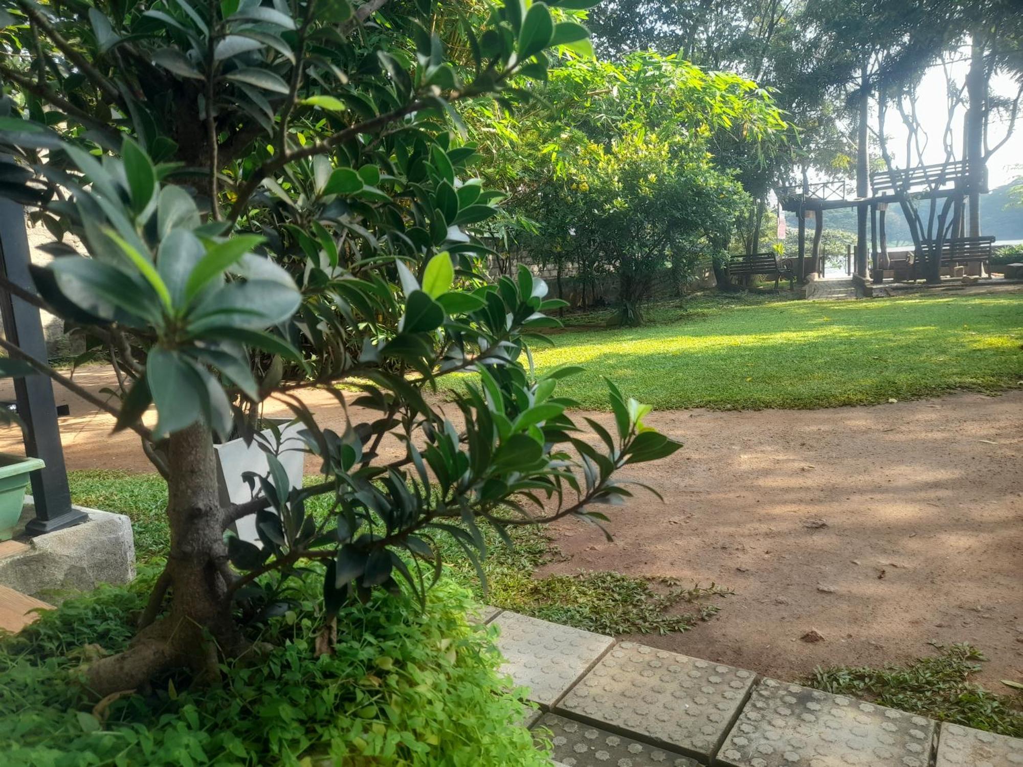 Shashin Lake Resort Dambulla Εξωτερικό φωτογραφία
